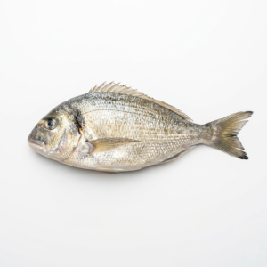 Dorada