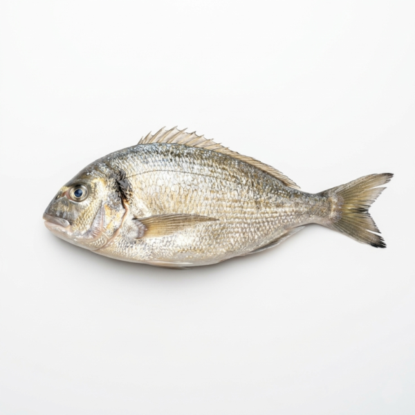 Dorada