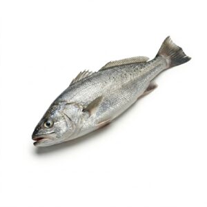 Corvina