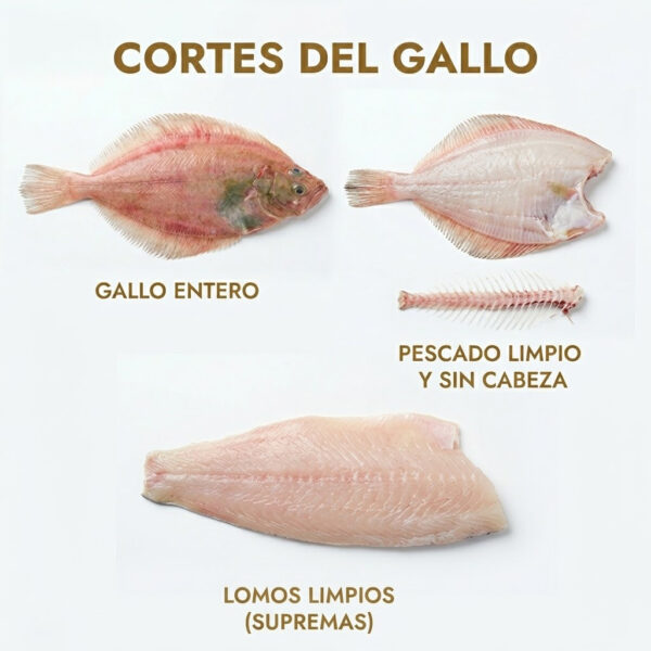 Cortes de gallo