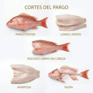 Cortes de pargo