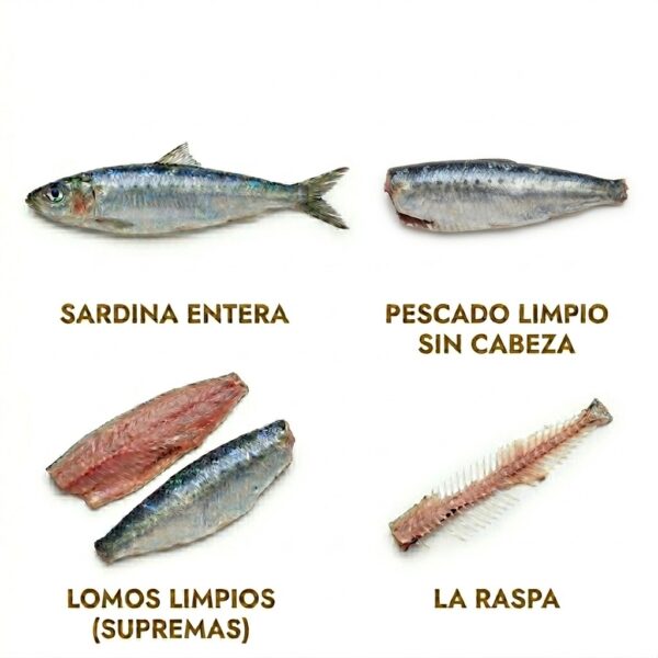 Cortes de sardina