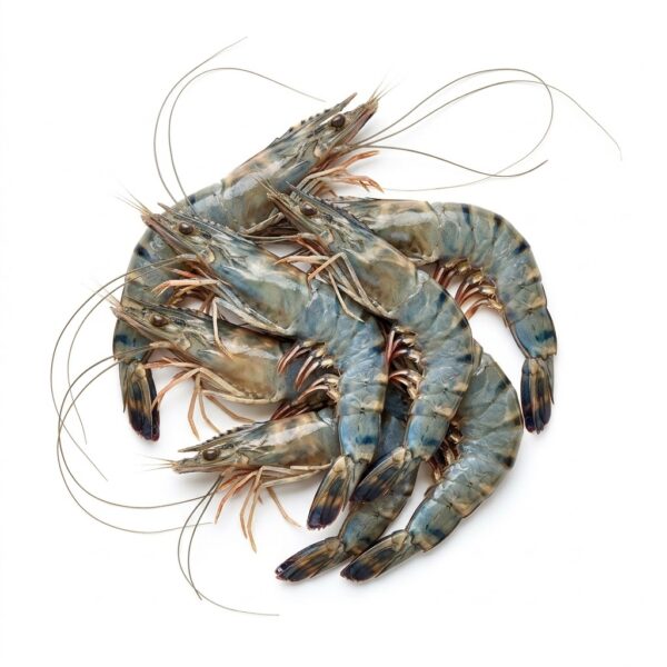 Langostinos tigre