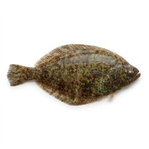 Lenguado