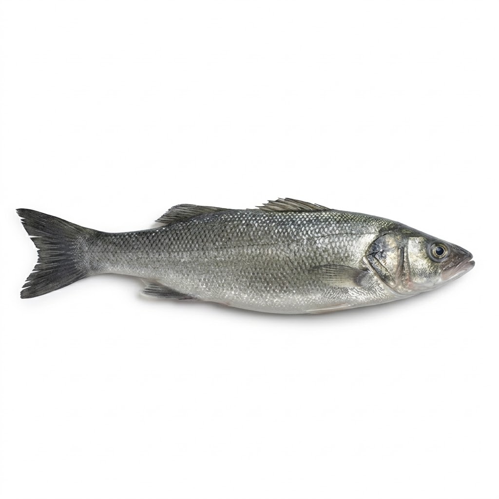 Lubina