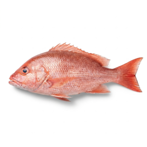 Pargo