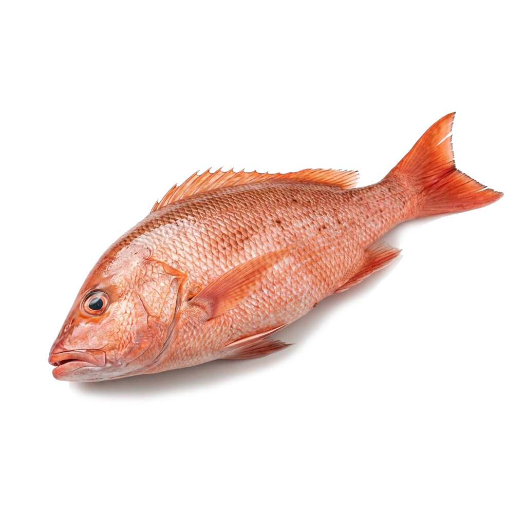 Pargo salvaje