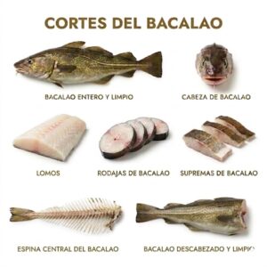 Cortes del bacalao