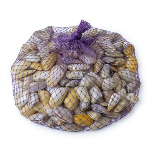 Coquinas frescas