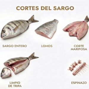 Cortes del sargo