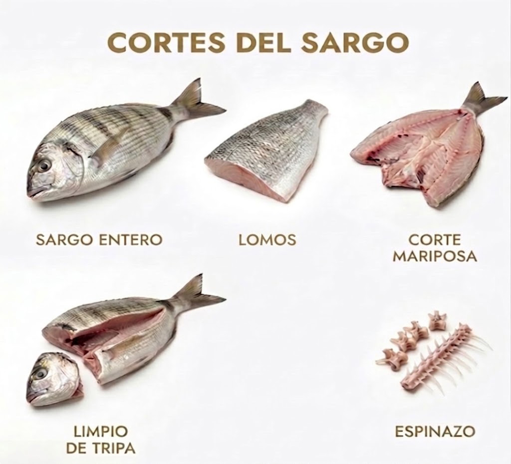 Cortes del sargo