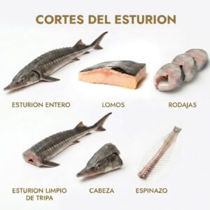 Cortes del esturión
