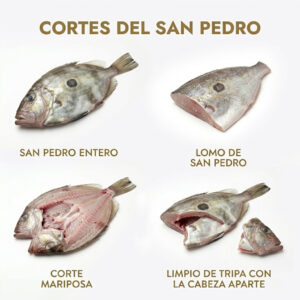 Cortes de san pedro