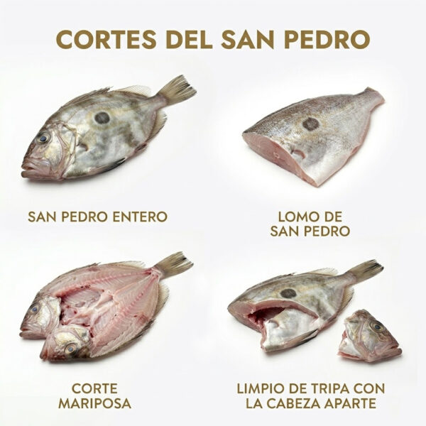 Cortes de san pedro