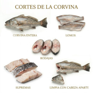 Cortes de la corvina