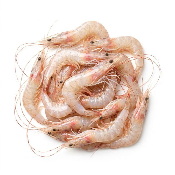 Gamba de cristal