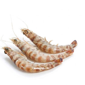 Gambas de Túnez