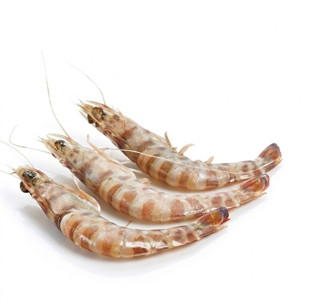 Gambas de Túnez