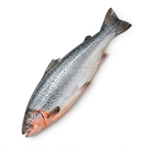 Salmón escoces