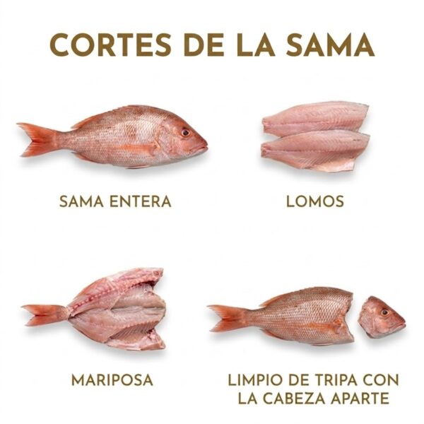Cotes de sama